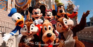 Onde os sonhos se tornam realidade. Onde-os-sonhos-se-tornam-realidade.